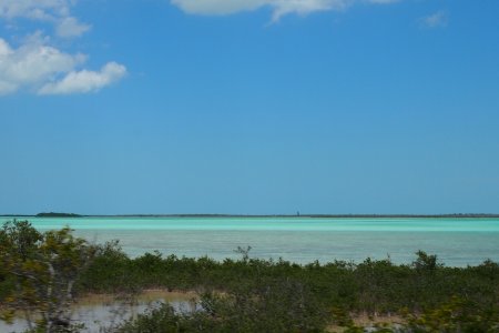 Alles is blauw op de Florida Keys
